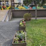 donice z kwiatami przed przedszkolem