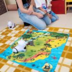 Zajęcia cyfrowych ekspertów z robotem